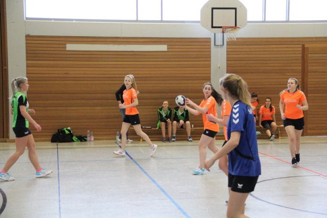 2017_01_08 Landesliga Frauen u. J19